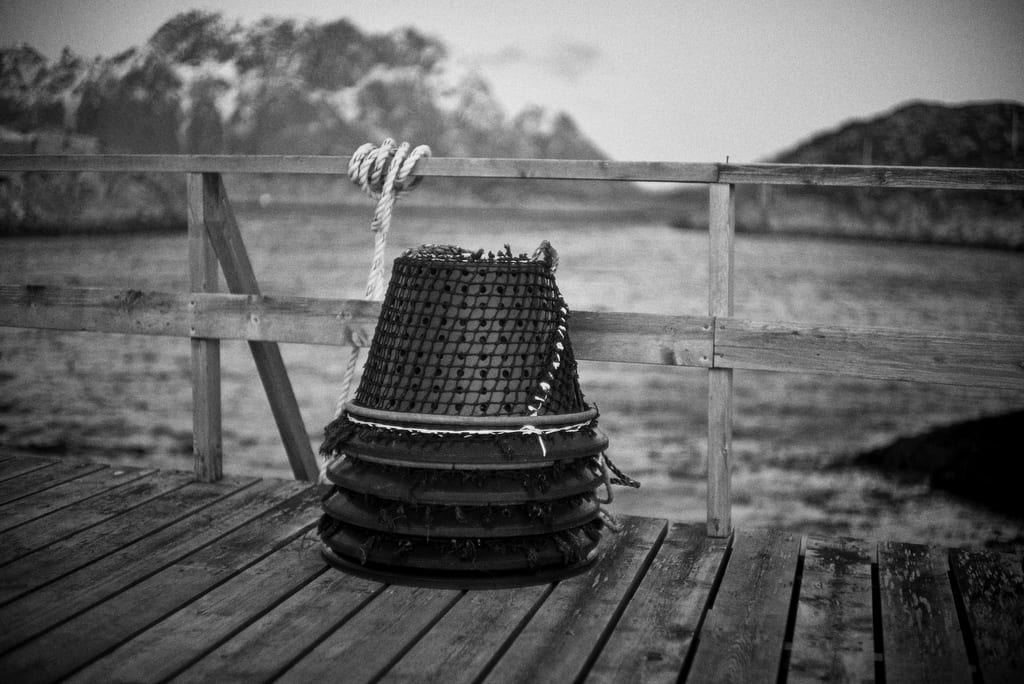 Black and white image. A pot sitting on the dock.